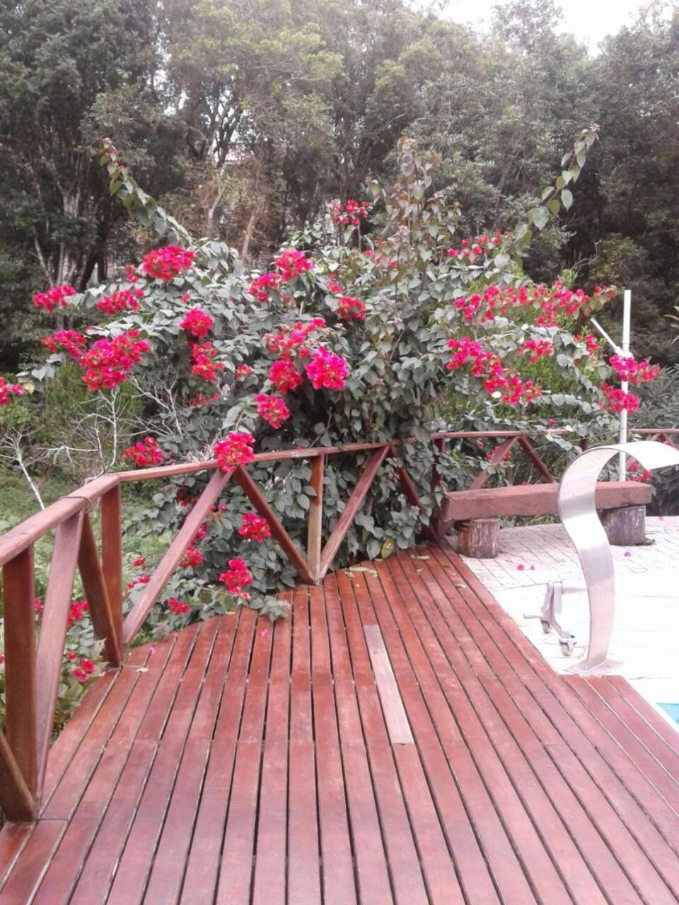 Chacara Recanto Vale Do Luar Piraquara Exterior photo